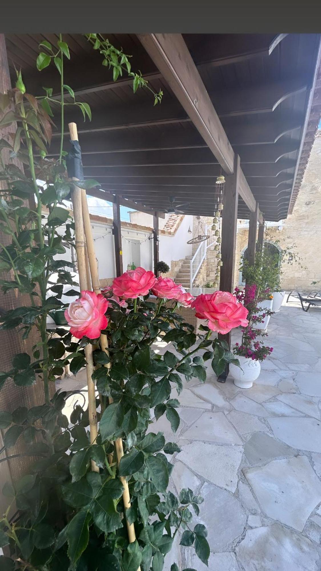 Apartament Little Stone House Lympia